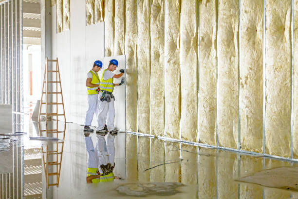 Best Attic Insulation Installation  in Olton, TX